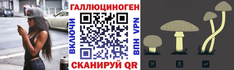 Галлюциногенные грибы Cubensis Константиновск